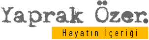 Yaprak Özer - Hayatın içeriği